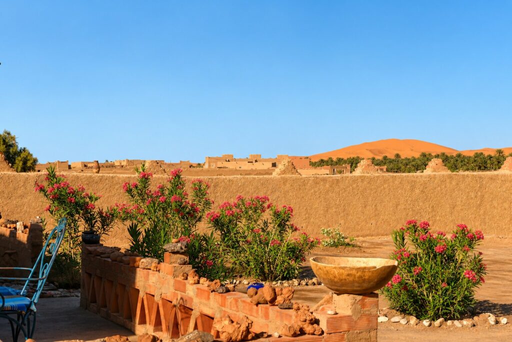 Vue depuis la terrasse de l'auberge la Vallée des Dunes à Hassilabied