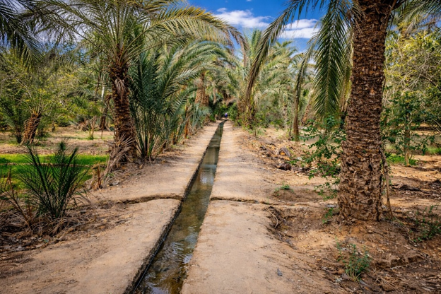 Dans la palmeraie du village de Hassilabied, proche de l'auberge La Vallée des Dunes, le canal d'irrigation permet l'arrosage des jardins villageois